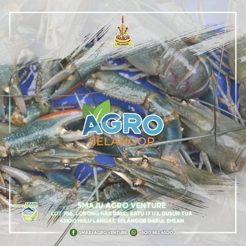 UDANG KARA AGRO SELANGOR