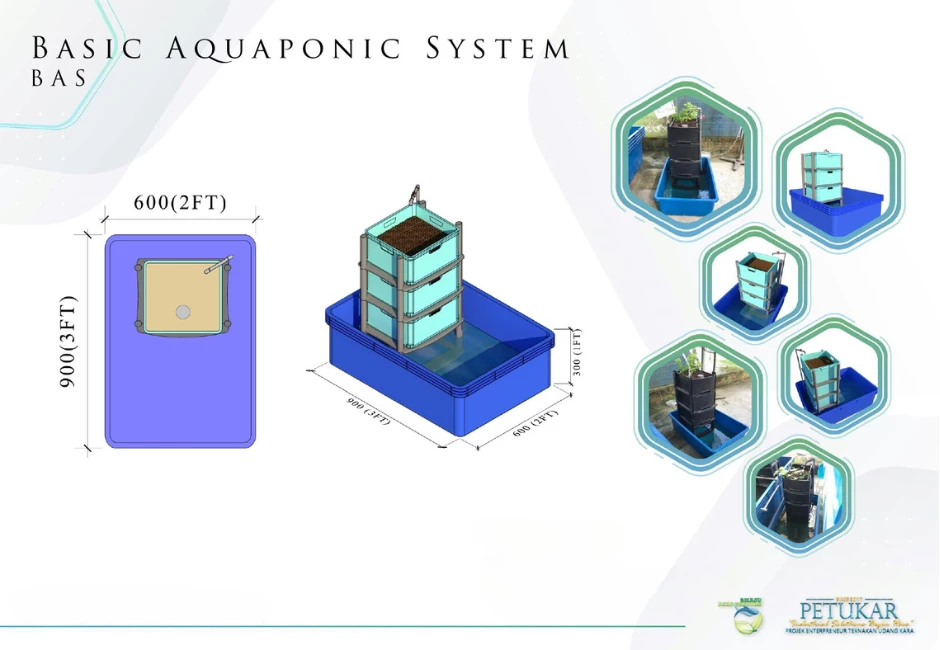 BASIC AQUAPONIC SYSTEM - BAS